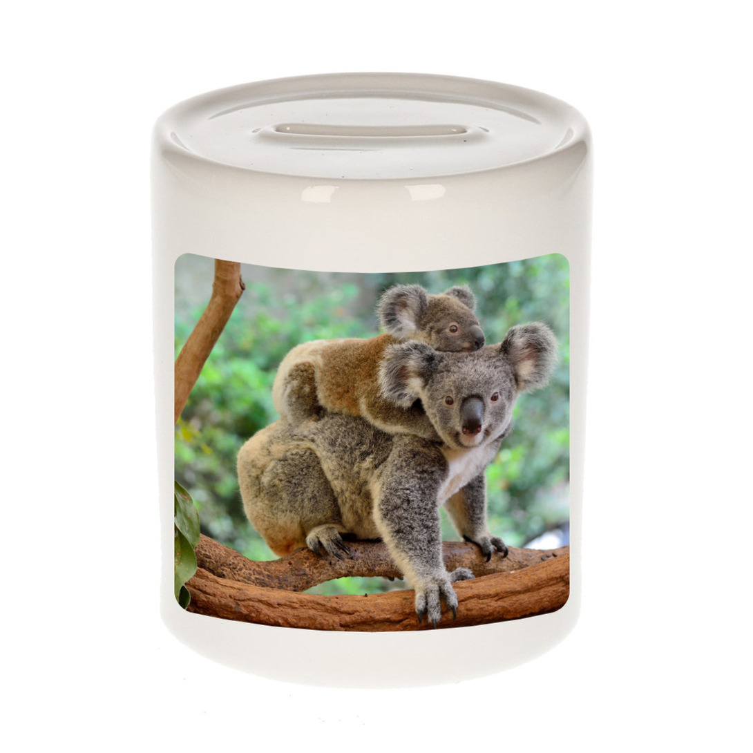Dieren foto spaarpot koala 9 cm koalaberen spaarpotten jongens en meisjes