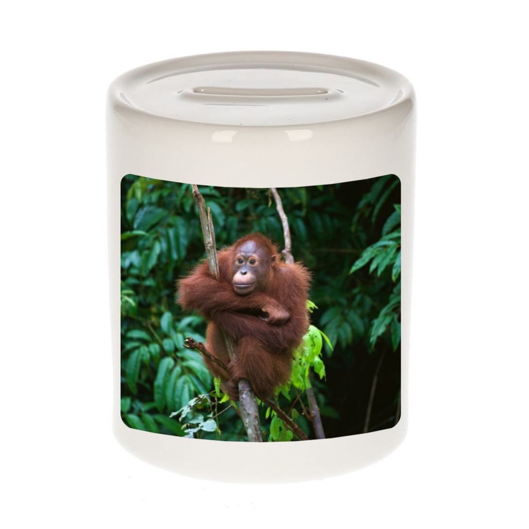 Dieren foto spaarpot orangoetan 9 cm apen spaarpotten jongens en meisjes
