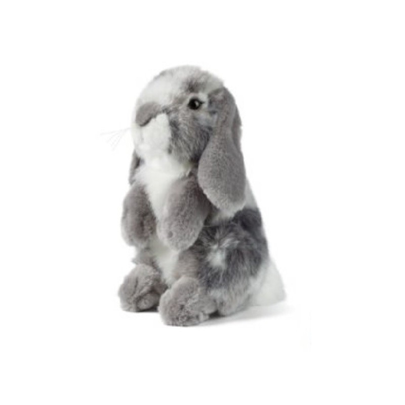 vriendelijke groet scherp Onvoorziene omstandigheden Pluche grijze hangoor konijn knuffel 19 cm speelgoed bestellen voor € 22.99  bij het Knuffelparadijs