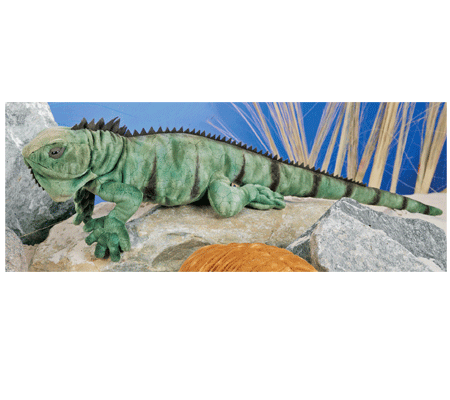 Big Iguana 64 cm