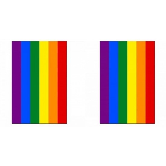 Polyester regenboog vlaggenlijn 18 m