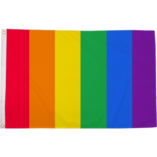Regenboog LGBT vlag 90 x 150 cm verticale strepen