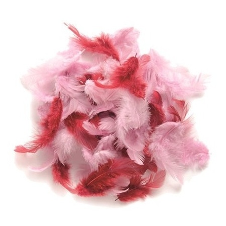 leiderschap Opiaat Een deel 10 gram decoratie veren roze tinten bestellen voor € 2.75 bij het  Knuffelparadijs