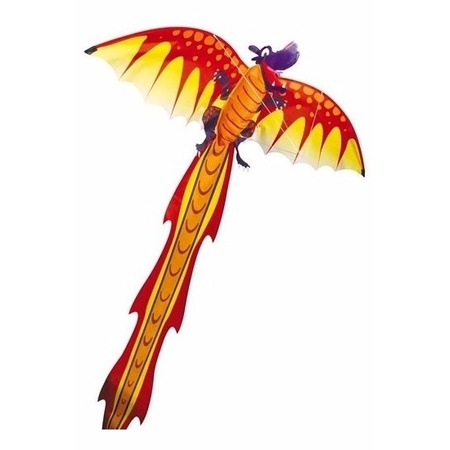 Kiezelsteen Verlichting Ik was mijn kleren Gekleurde 3D vlieger voor kinderen draak bestellen voor € 19.99 bij het  Knuffelparadijs