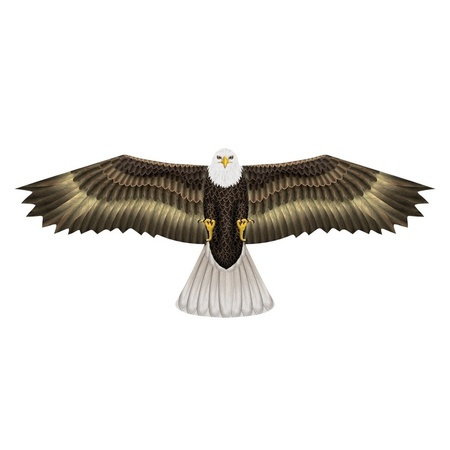 Amerikaanse zeearend roofvogel vlieger 112 x 50 cm