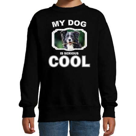 Border collie honden trui / sweater my dog is serious cool zwart voor kinderen