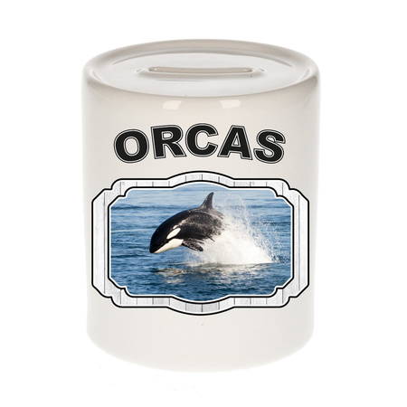 Dieren orka spaarpot - orcas/ orka vissen spaarpotten kinderen 9 cm