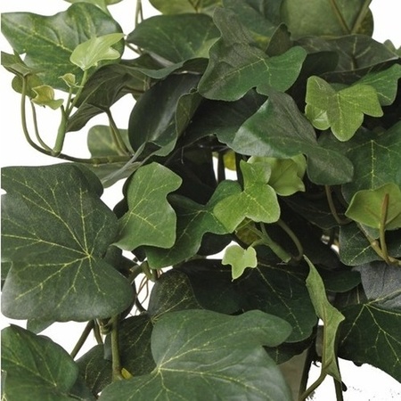 Groene Hedera Helix/klimop kunstplant 65 cm voor buiten