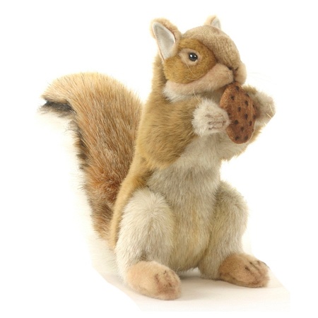 Levensechte Hansa pluche eekhoorn knuffel 22 cm