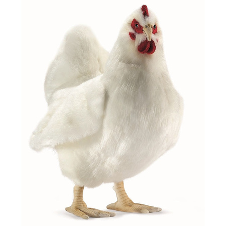 slecht Compliment Meyella Levensechte Hansa pluche kip knuffel wit 40 cm bestellen voor € 66.99 bij  het Knuffelparadijs