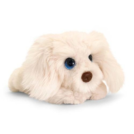 Frustratie Dag spel Keel Toys pluche witte pup Labradoodle honden knuffel 32 cm bestellen voor  € 18.99 bij het Knuffelparadijs