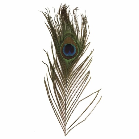 3x Pieces peacock feathers - 25 cm 