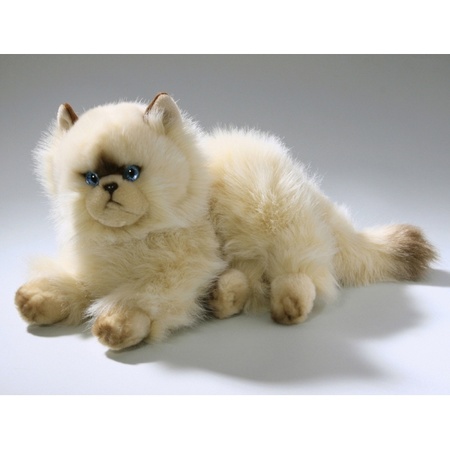 Persian cat cuddle toy 30 cm