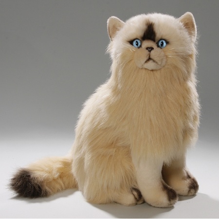 Persian cat cuddle toy 35 cm