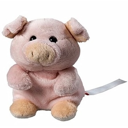 Plush pig cuddly toy 11 cm with a writeable label