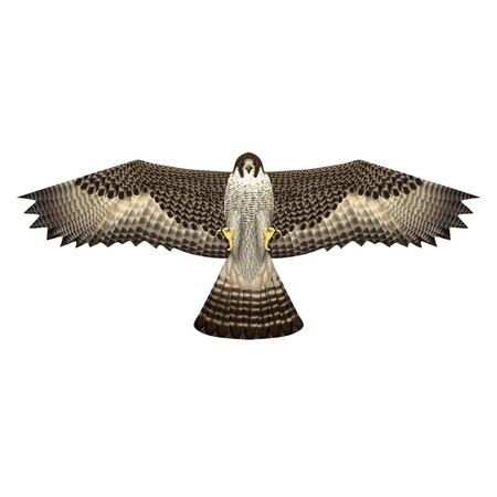 Falcon kite 112 x 50 cm