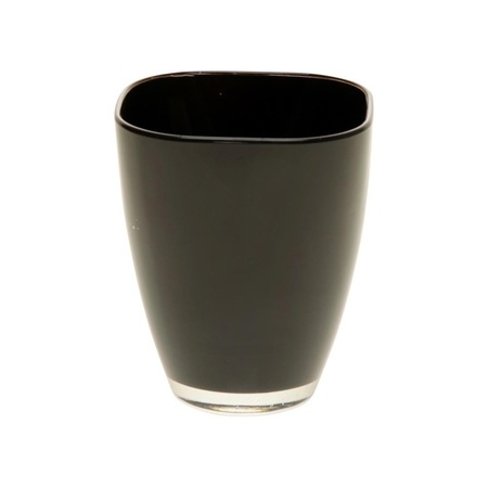 Interesseren Pilfer verwijzen Zwarte vierkante vaas van glas 17 cm bestellen voor € 5.75 bij het  Knuffelparadijs
